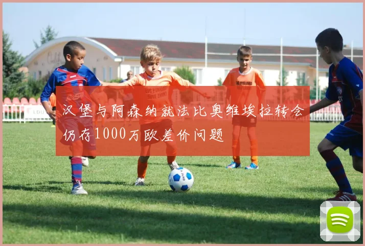 汉堡与阿森纳就法比奥维埃拉转会仍存1000万欧差价问题