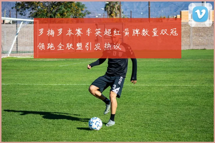 罗梅罗本赛季英超红黄牌数量双冠领跑全联盟引发热议