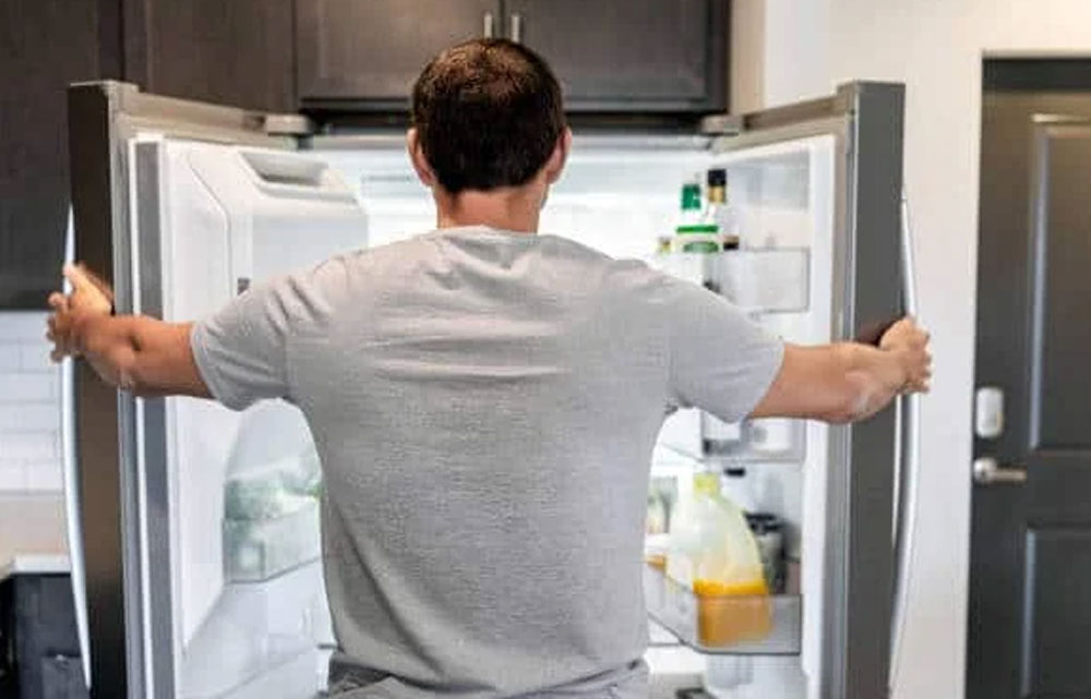 تنظیم دمای یخچال پروفایل